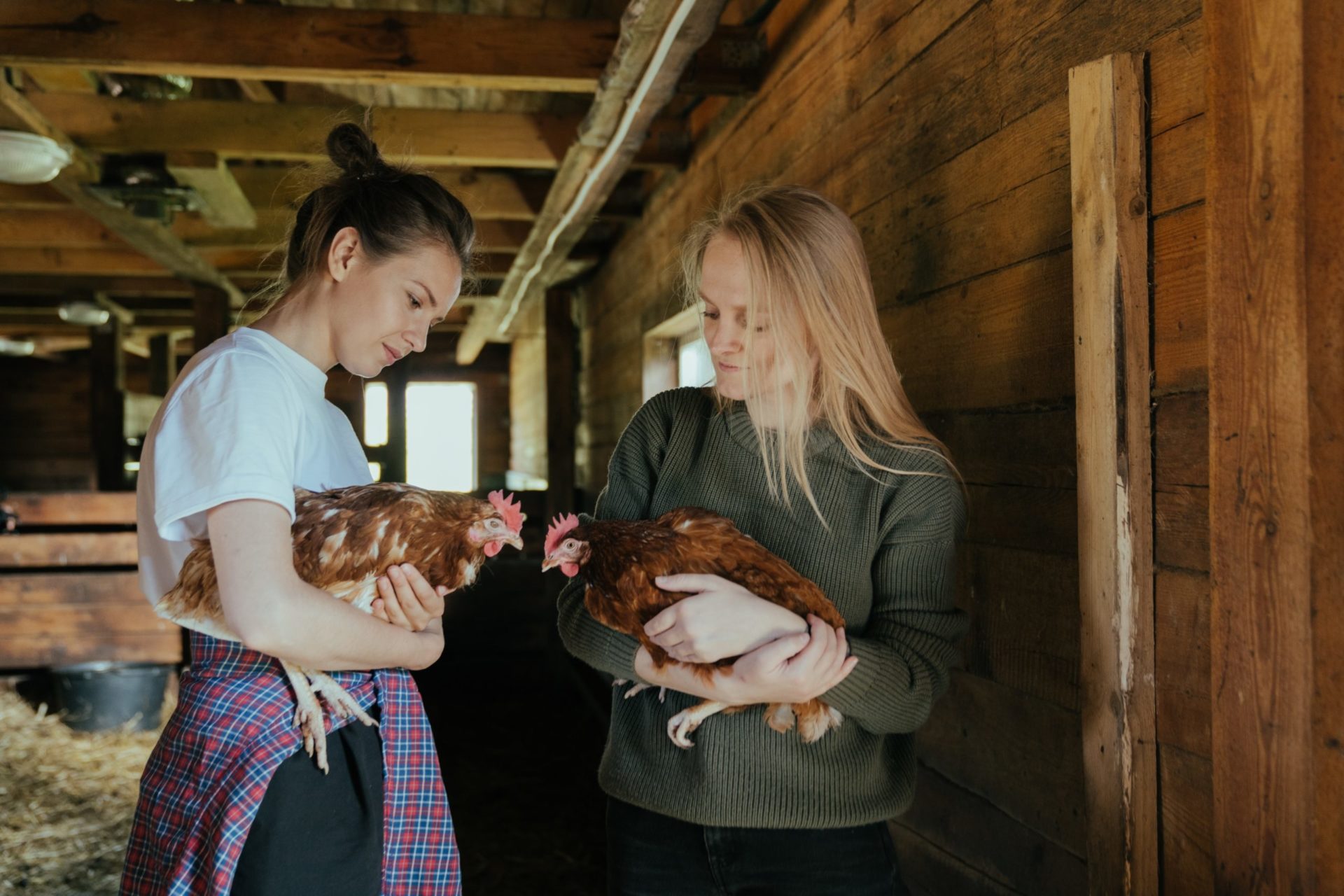 Women petting chickens. Find places to pet a chicken near you.
