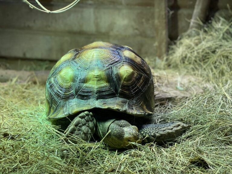 san antonio aquarium leon valley 768x576