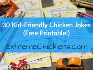 30 Kid-Friendly Chicken Jokes cards and toys scattered on a table. Made for ExtremeChickens and their members.