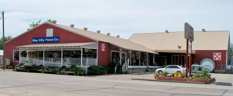 bay city feed bay city 768x318