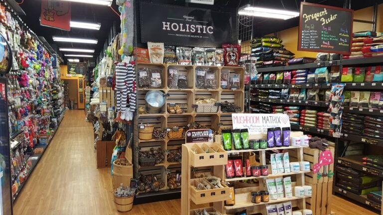 hollywood feed little rock 6 768x432