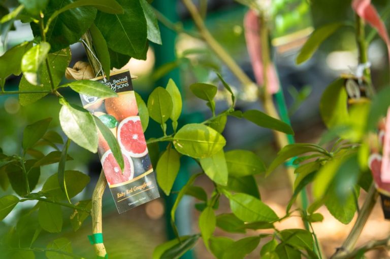 old time farm supply gonzales 768x511