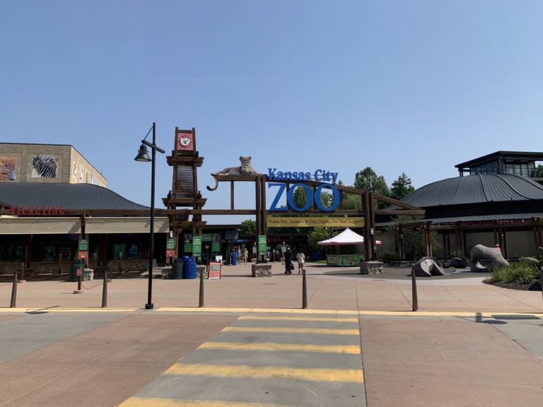 kansas city zoo kansas city 768x576