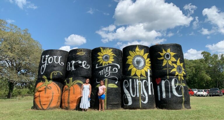 p 6 farms montgomery 768x413