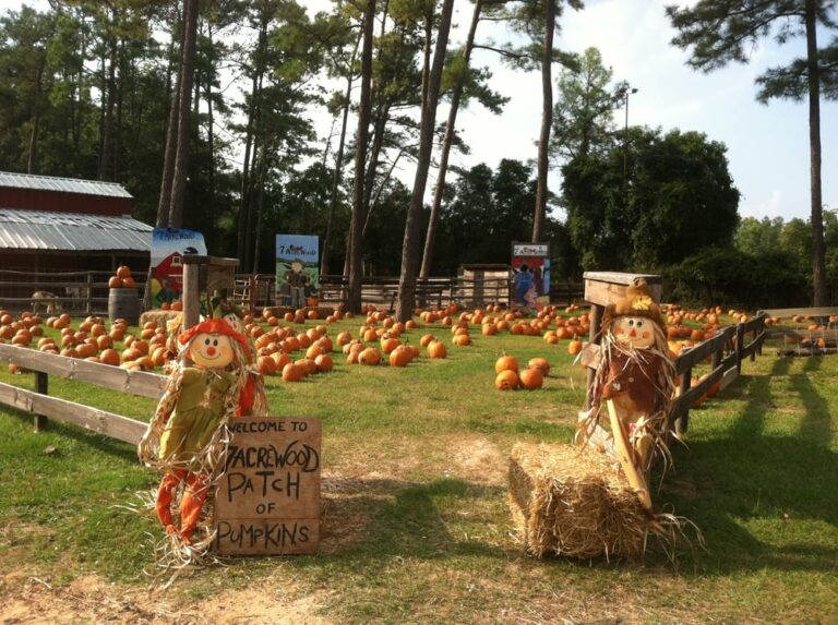 7 acre wood 2 768x573